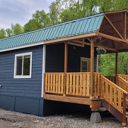 Lucky Guesthouse Trapper Creek エクステリア 写真
