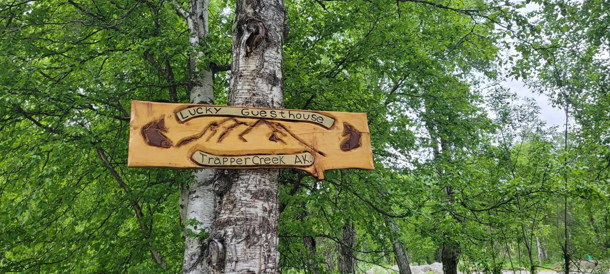 Lucky Guesthouse Trapper Creek エクステリア 写真